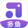 多鱼 多鱼