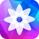 /android/theme/275.html