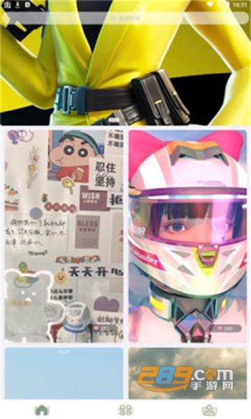 鹦鹉螺壁纸app免费高清版