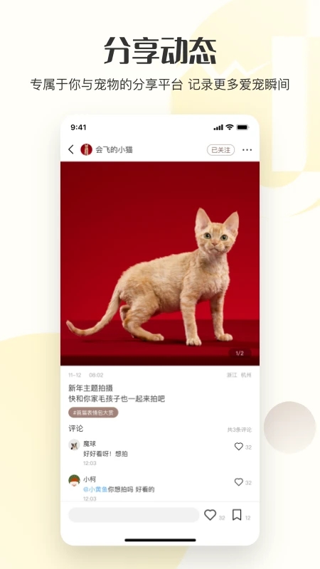 集宠区app