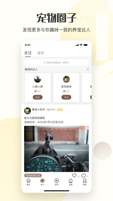 集宠区app