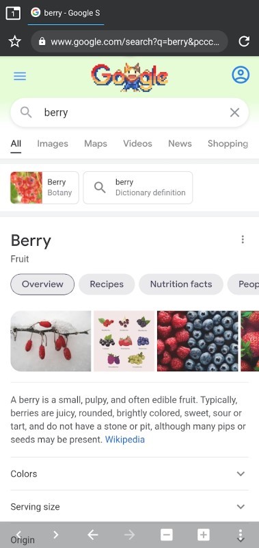 berry浏览器app