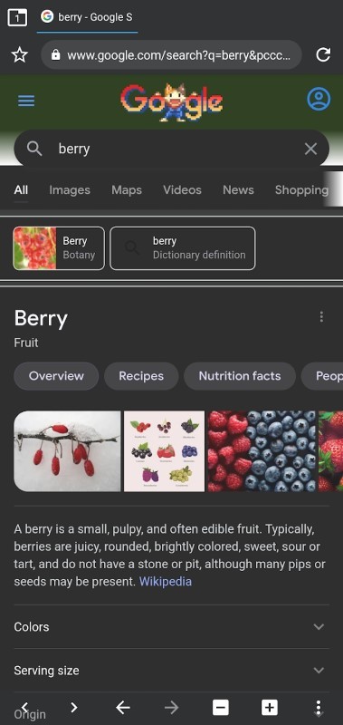 berry浏览器app