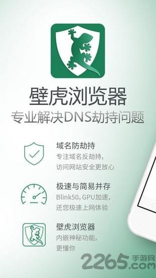 壁虎浏览器app