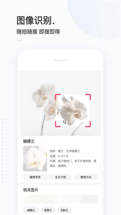 简单搜索浏览器手机版