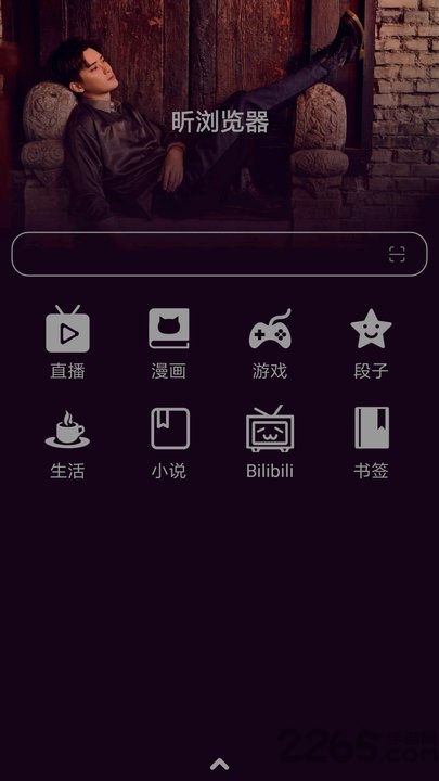 昕浏览器pro