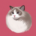 /android/tools/1809.html