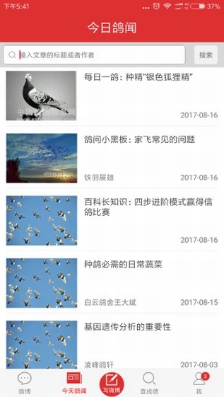 搜鸽天下