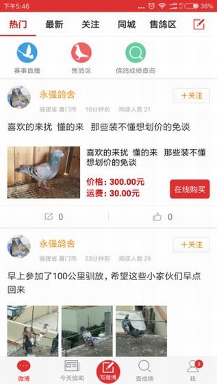 搜鸽天下