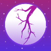 夜月直播视频app2022