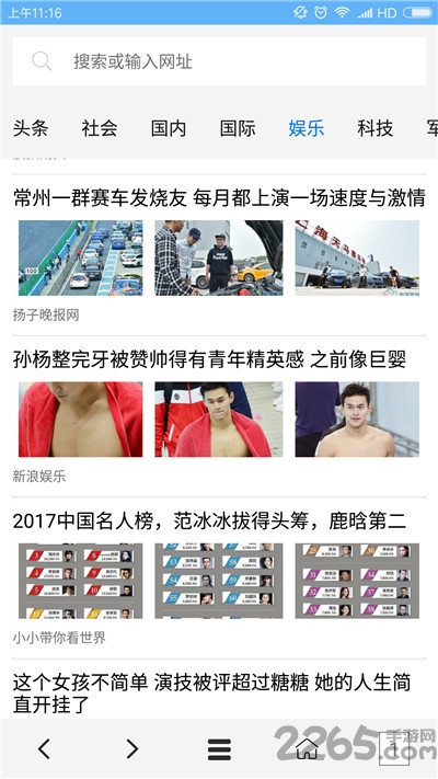 vip浏览器app