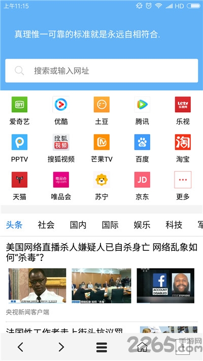 vip浏览器app