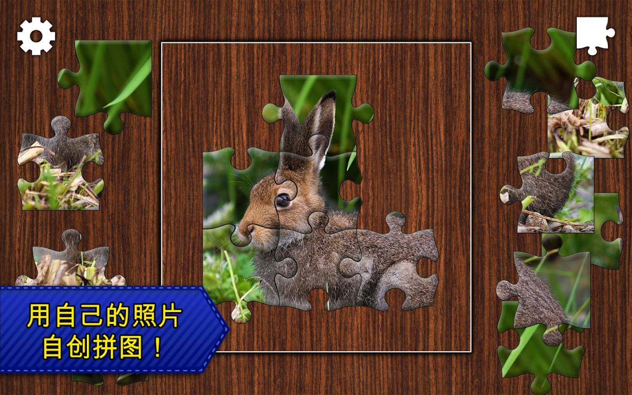 拼图传奇 解锁高级版