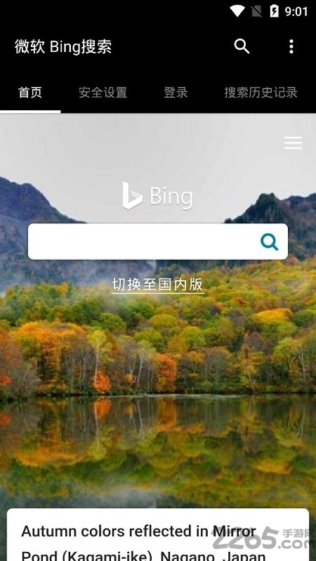 微软bing搜索国际版