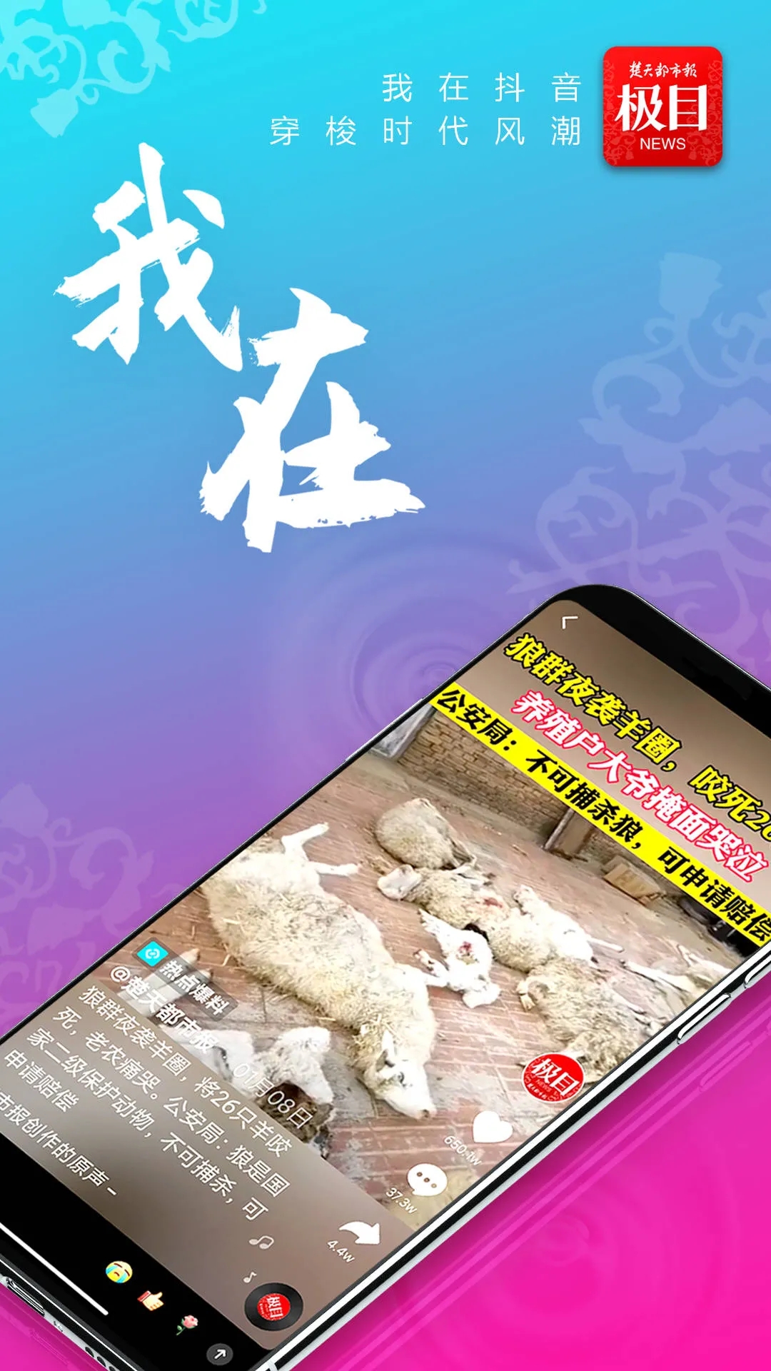 看楚天最新手机版