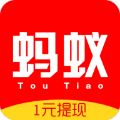 蚂蚁头条