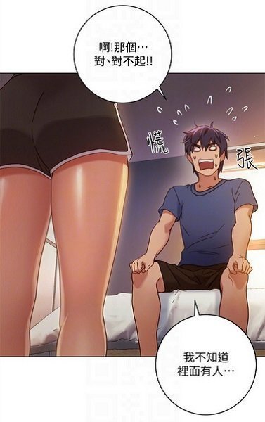啪哩palipali纯净版