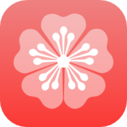 /android/info/6626.html