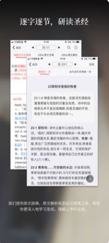 微读圣经鸽子版