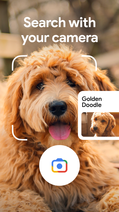 google搜索手机版
