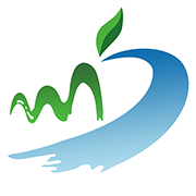 精彩大武口app