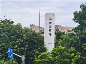 45升油箱加了47升油 加油站回应：检测没问题