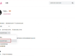 用户可以自行设置 B站已经支持鸿蒙字体