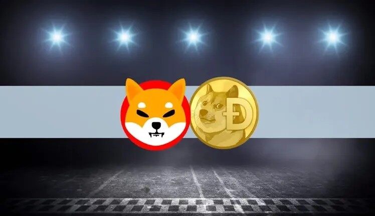 柴犬币在哪里买靠谱？正规SHIB交易所大盘点-第1张图片-欧易下载