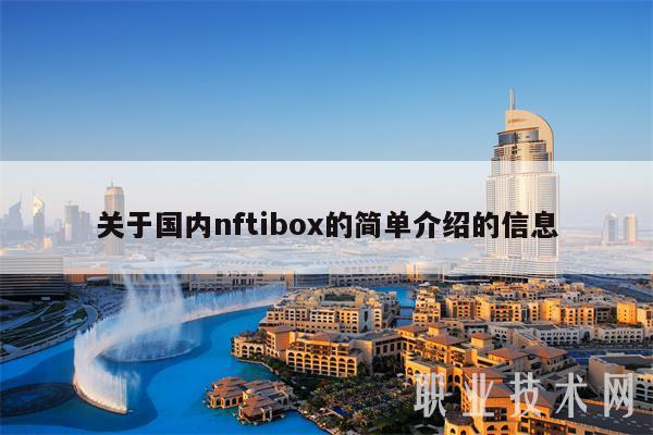 关于国内nftibox的简单介绍的信息-第1张图片-欧易下载