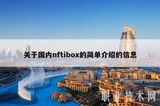 关于国内nftibo的简单介绍的信息