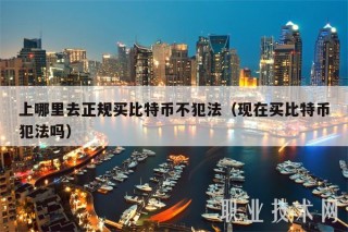 上哪里去正规买比特币不犯法（现在买比特币犯法吗）