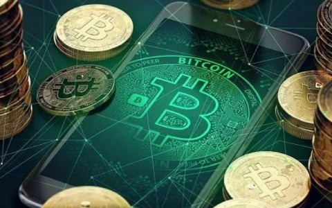 区块链入门-什么是私有链（区块链中的公链是什么）