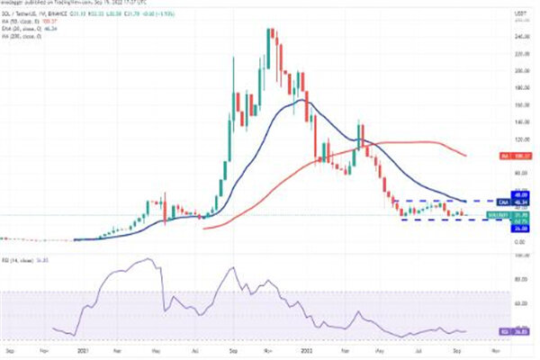 sol币今日最新价格 索拉纳币最新行情消息-第2张图片-欧易下载