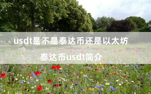 usdt是不是泰达币还是以太坊（泰达币usdt简介）-第1张图片-欧易下载