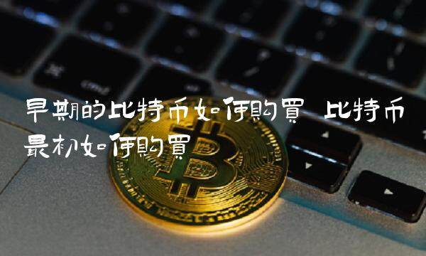 早期的比特币如何购买-第1张图片-欧易下载