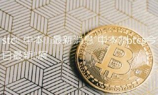 中本聪岛最新消息