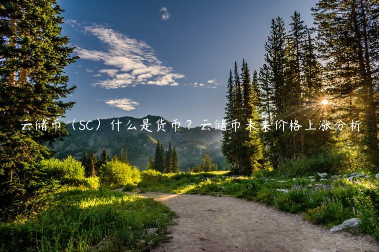 云储币（SC）什么是货币？云储币未来价格上涨分析-第1张图片-欧易下载