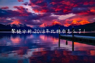 聚链分析:2018年比特币怎么了！