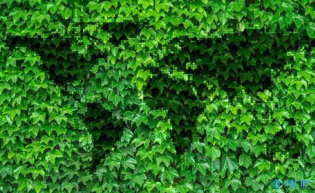 lbank（lbank证券交易所排亚洲地区前四）-第2张图片-欧易下载