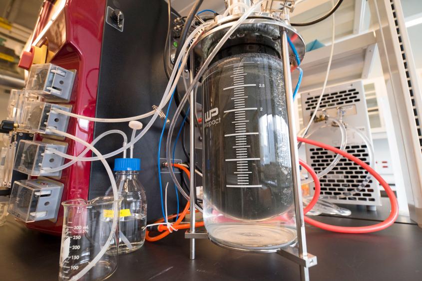 Qiwi是不是用（locationsWRT54G的Qiwi是不是用）-第3张图片-欧易下载