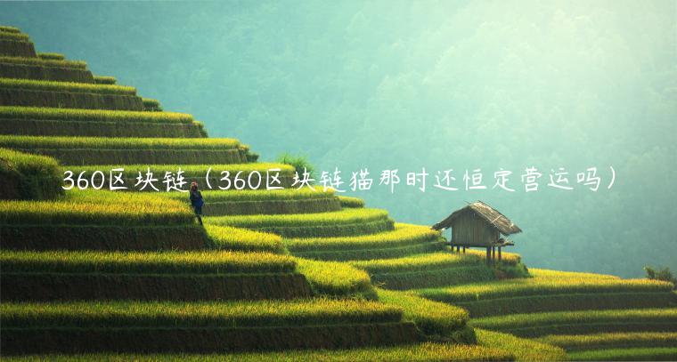 360区块链（360区块链猫那时还恒定营运吗）-第1张图片-欧易下载