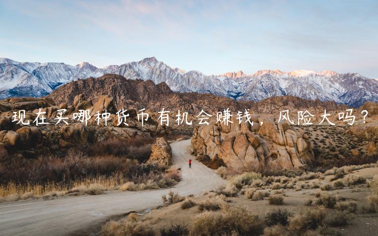 现在买哪种货币有机会赚钱，风险大吗？-第1张图片-欧易下载