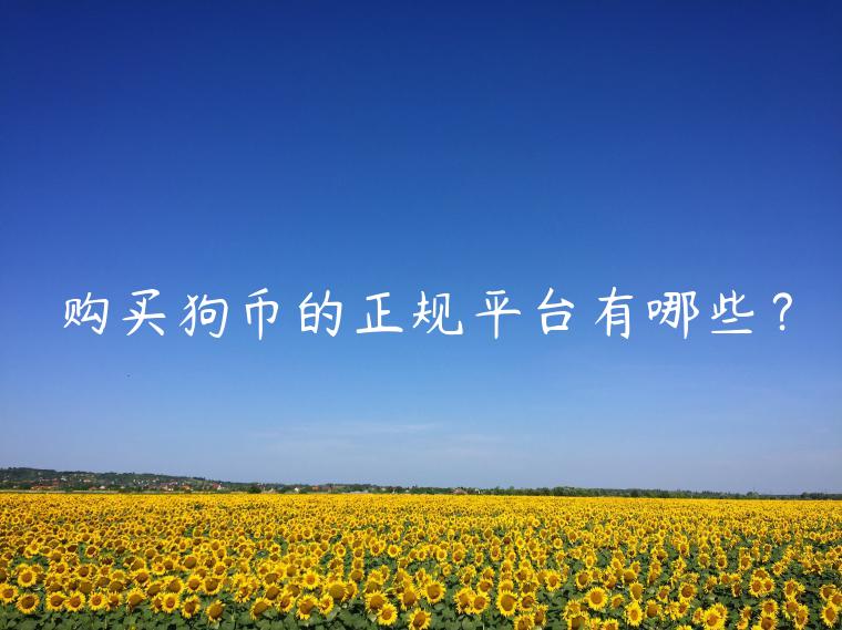 购买狗币的正规平台有哪些？-第1张图片-欧易下载