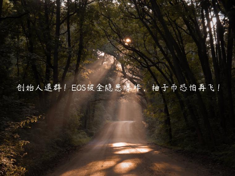 创始人退群！OS被全隐患爆炸，柚子币恐怕再飞！-第1张图片-欧易下载