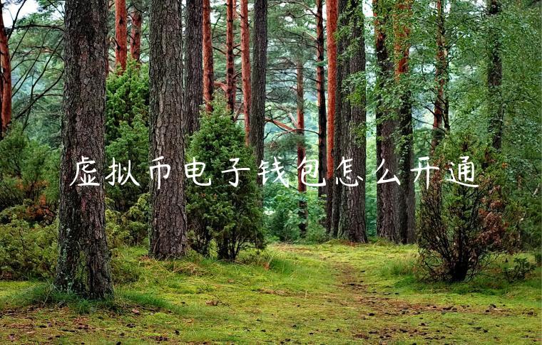 虚拟币电子钱包怎么开通-第1张图片-欧易下载
