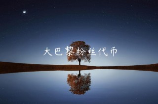 大巴黎粉丝代币