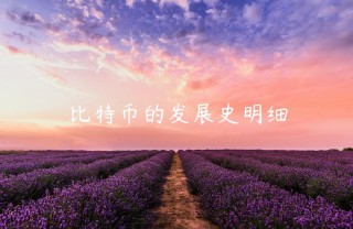 比特币的发展史明细