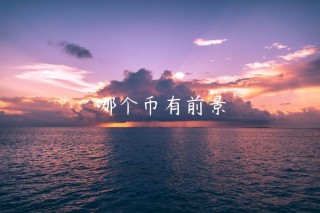 哪个币有前景