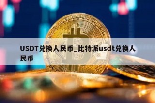 USDT兑换人民币_比特派usdt兑换人民币