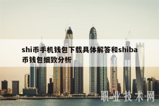 shi币手机钱包下载具体解答和shiba币钱包细致分析